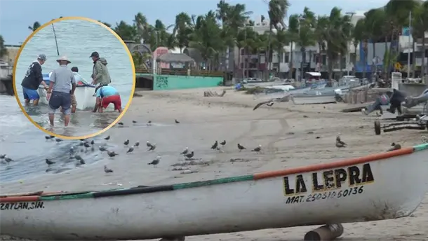 Nota Relacionada de Sinaloa