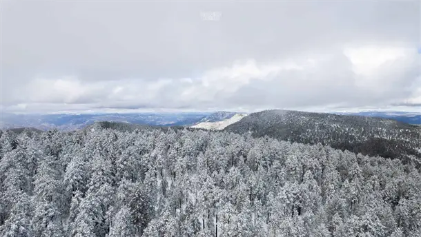 Nota Relacionada de M&eacute;xico