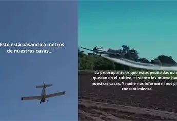 Alertan por fumigación aérea presuntamente tóxica cerca viviendas en Los Mochis