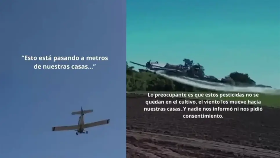 Vecinos alertan por fumigación aérea presuntamente tóxica cerca de viviendas en Los Mochis | VIDEO