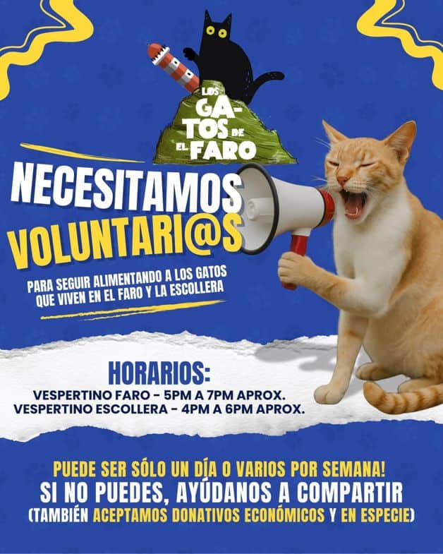 Imagen Placeholder