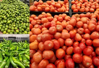 Se disparan precios de tomate, limón y chile serrano y ciudadanos lo sienten en el bolsillo