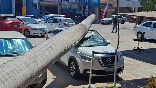 Nota Relacionada de Sinaloa