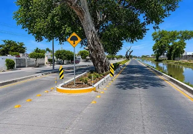 Imagen Placeholder