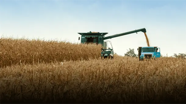 Nota Relacionada de Agro