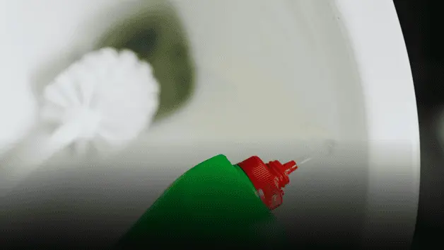 Imagen Placeholder Imagen Placeholder