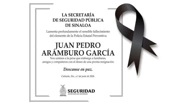 Imagen Placeholder