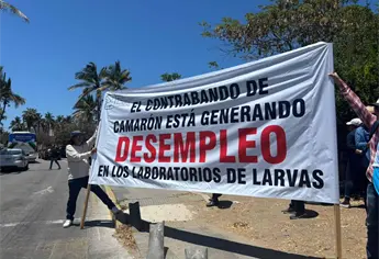 Productores de camarón protestan en Mazatlán y exigen frenar importaciones