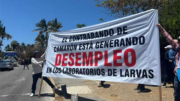 Nota Relacionada de Agro