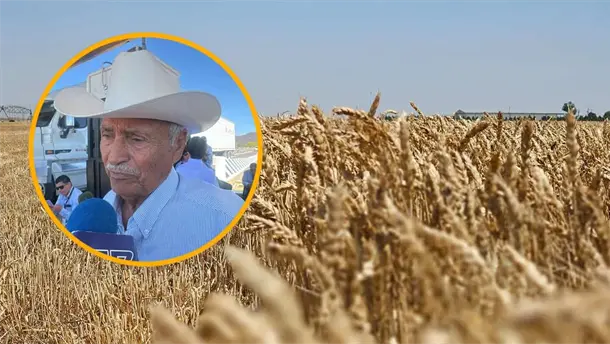 Nota Relacionada de Agro