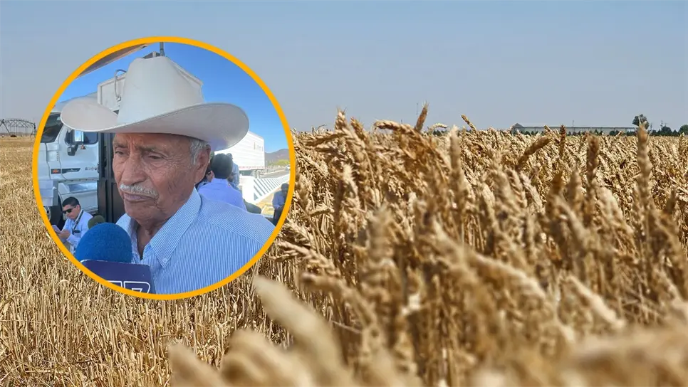 FOTO: Productores del Valle del Carrizo piden apoyo estatal de 400 pesos por tonelada
