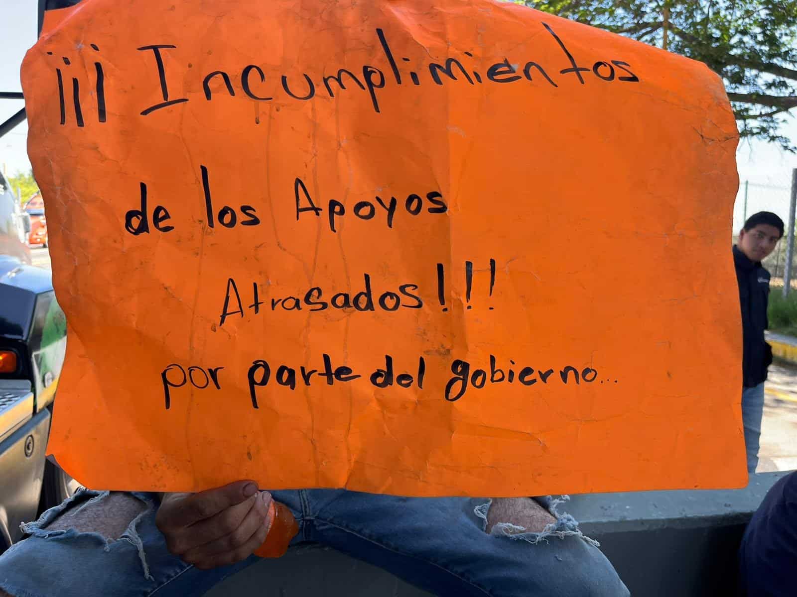 Imagen Placeholder