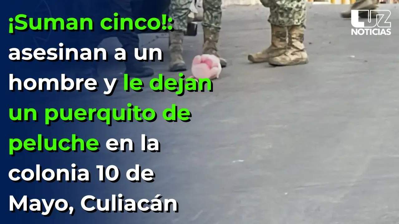 ¡Suman cinco!: asesinan a un hombre y le dejan un puerquito de peluche en Culiacán
¡Suman cinco!: asesinan a un hombre y le dejan un puerquito de peluche en Culiacán