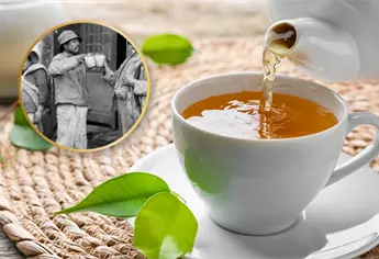 “Teporocho”; origen de la palabra que identifica a un mexicano amante de beber alcohol