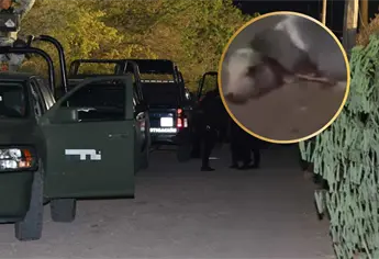 Dejan cerdo amarrado en el cuello de hombre ejecutado en la colonia Ferrocarrilera, en Culiacán