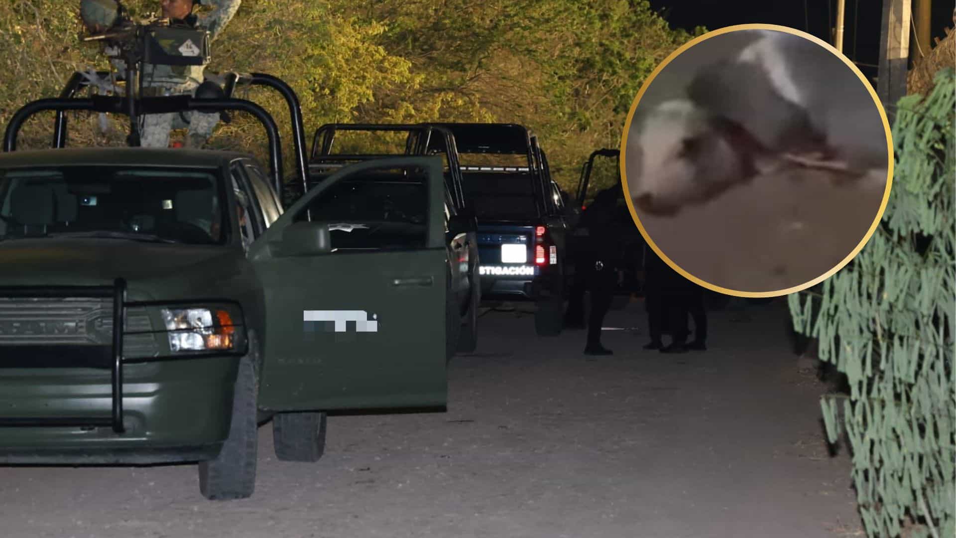 Dejan cerdo amarrado en el cuello de hombre ejecutado en la colonia Ferrocarrilera, en Culiacán Dejan cerdo amarrado en el cuello de hombre ejecutado en la colonia Ferrocarrilera, en Culiacán