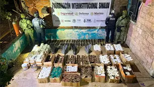 Aseguran m&aacute;s de 500 explosivos para ser lanzados con dron en el municipio de Rosario
