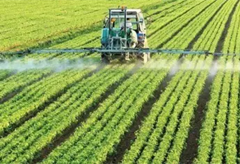 Acusan campaña internacional para frenar la planta de fertilizantes de Topolobampo