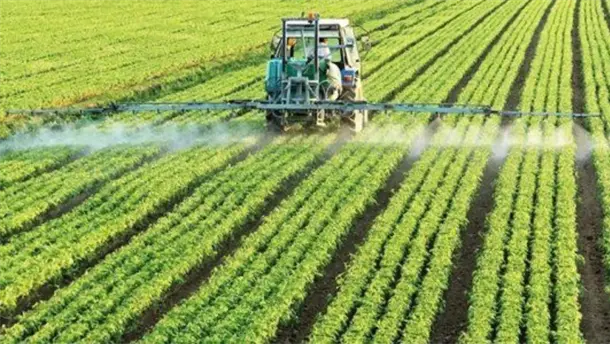 Nota Relacionada de Agro