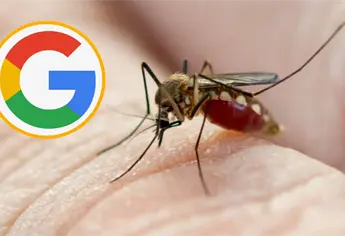 Google quiere liberar 32 millones de mosquitos con la bacteria Wolbachia, ¿Que es y dónde lo van a soltar?