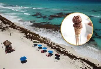 ¿Helado de sargazo? Proyectan aprovechar esta alga invasora en el Mar Caribe