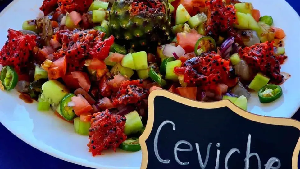 Estudiantes innovan con la pitaya en Baymena, Choix: ¡Helados, ceviche y hasta camarones ahogados!