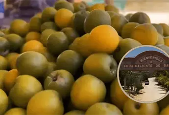 Atole, tamales, empanadas y cerveza; todo lo que se prepara con la ciruela en Aguacaliente de Gárrate