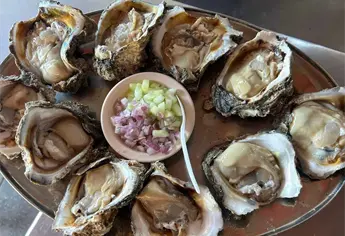 En este lugar encuentras los ostiones más grandes de Mazatlán, pueden pesar hasta un kilo y medio