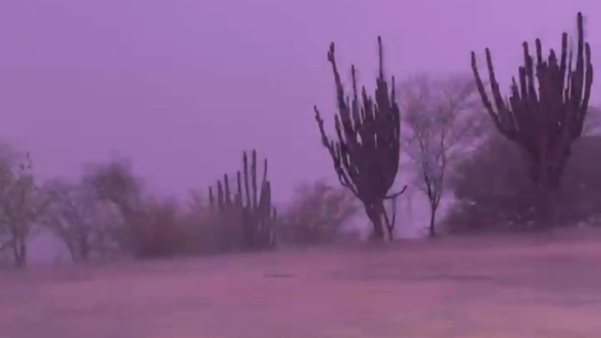 Choix lidera pron&oacute;stico de lluvias en Sinaloa tras intensa noche de precipitaciones