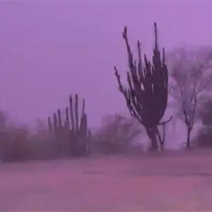 Choix lidera pron&oacute;stico de lluvias en Sinaloa tras intensa noche de precipitaciones