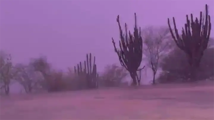 Choix lidera pronóstico de lluvias en Sinaloa tras intensa noche de precipitaciones Choix lidera pronóstico de lluvias en Sinaloa tras intensa noche de precipitaciones