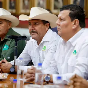 Frenada exportaci&oacute;n de mango en sur de Sinaloa; Gobierno busca garantizar seguridad para  inspectores del USDA