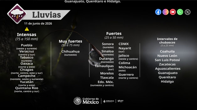 Imagen Placeholder