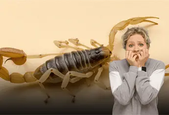 Mantén a los alacranes lejos de tu casa; estas plantas podrían ser de mucha ayuda