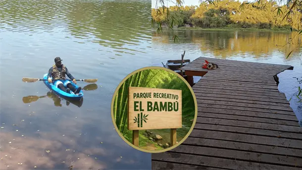 Nota Relacionada de Sinaloa