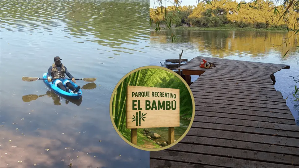 FOTO: El Bambú se perfila como uno de esos tesoros escondidos que vale la pena descubrir.