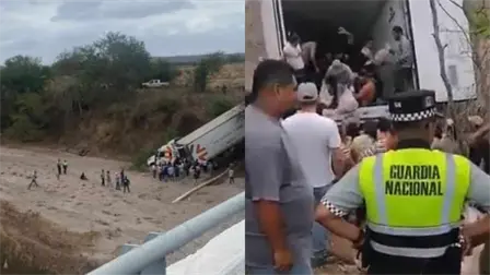Volcadura de tráiler en la Mazatlán-Culiacán genera rapiña de carne de cerdo Volcadura de tráiler en la Mazatlán-Culiacán genera rapiña de carne de cerdo
