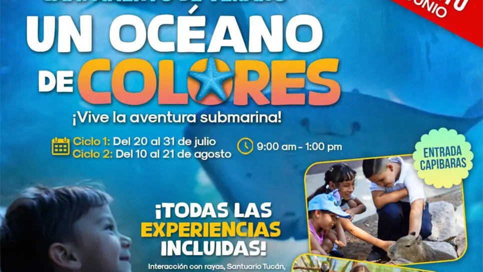 Cursos de verano ideales para tus hijos estas vacaciones en Mazatlán