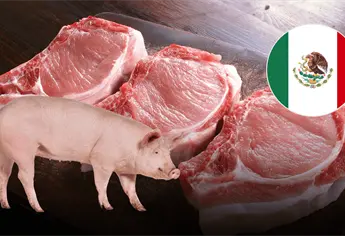 Turistas del Mundial no podrán ingresar carne de cerdo a México por esta razón
