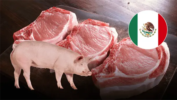 Nota Relacionada de México