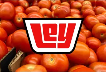 Día de la Fruta y la Verdura en Ley 16 de junio: Regresa el tomate a menos de 20 pesos y hay ofertas en carnes