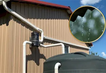 UNAM revela cómo recolectar el agua de lluvia en casa y no carecer del recurso en sequía