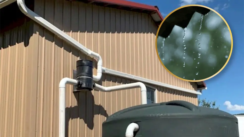 UNAM revela cómo recolectar el agua de lluvia en casa y no carecer del recurso en sequía