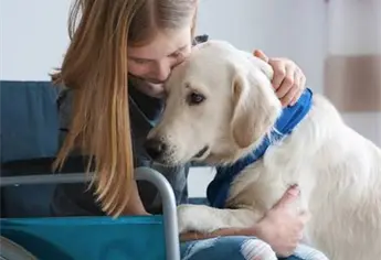 ¿Sabes qué hace un perro de asistencia? Te contamos cómo cambian vidas a diario.