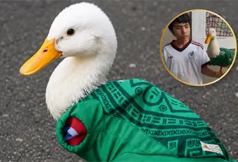 ¿Quién es el Pato “Merlín”: La tierna mascota que conquistó a todos en México este mundial