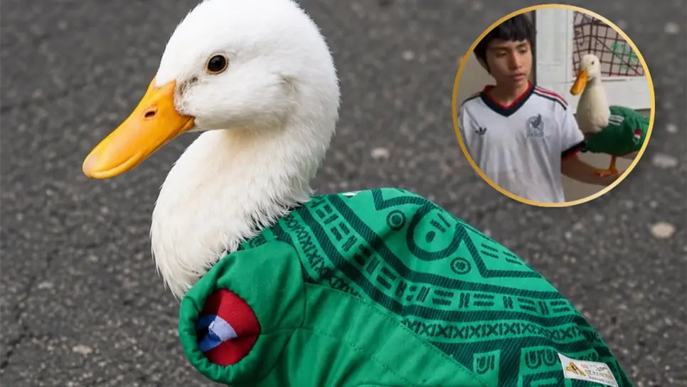 ¿Quién es el Pato "Merlín": La tierna mascota que conquistó a todos en México este mundial