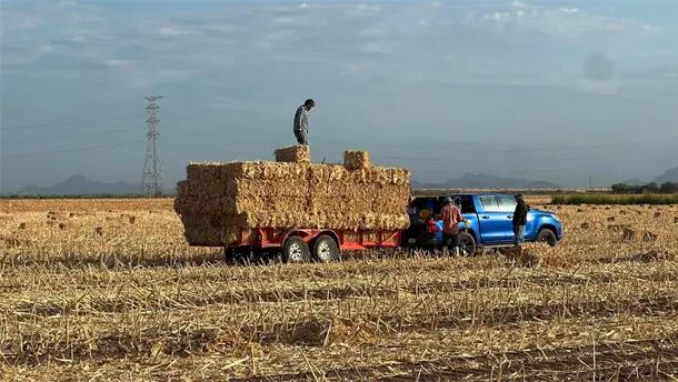 Nota Relacionada de Agro