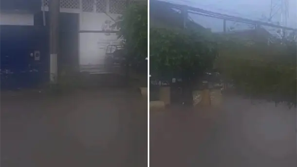 Nota Relacionada de Sinaloa