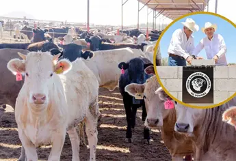 Gobierno de Sonora activa su Centro Integral Ganadero: ¿Qué es y para qué sirve?