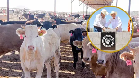 Gobierno de Sonora activa su Centro Integral Ganadero: &iquest;Qu&eacute; es y para qu&eacute; sirve?